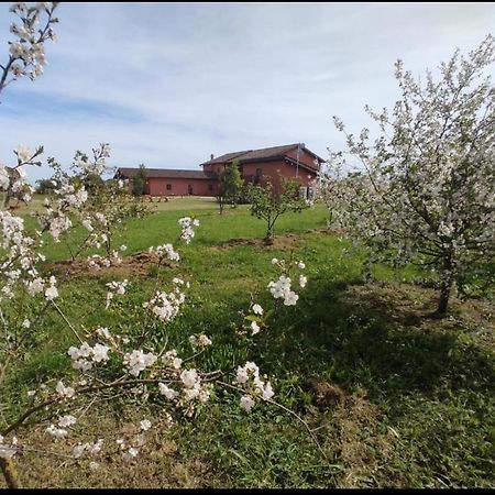 Il Casale Di Giulia Di Aprilia Bed & Breakfast Exterior photo