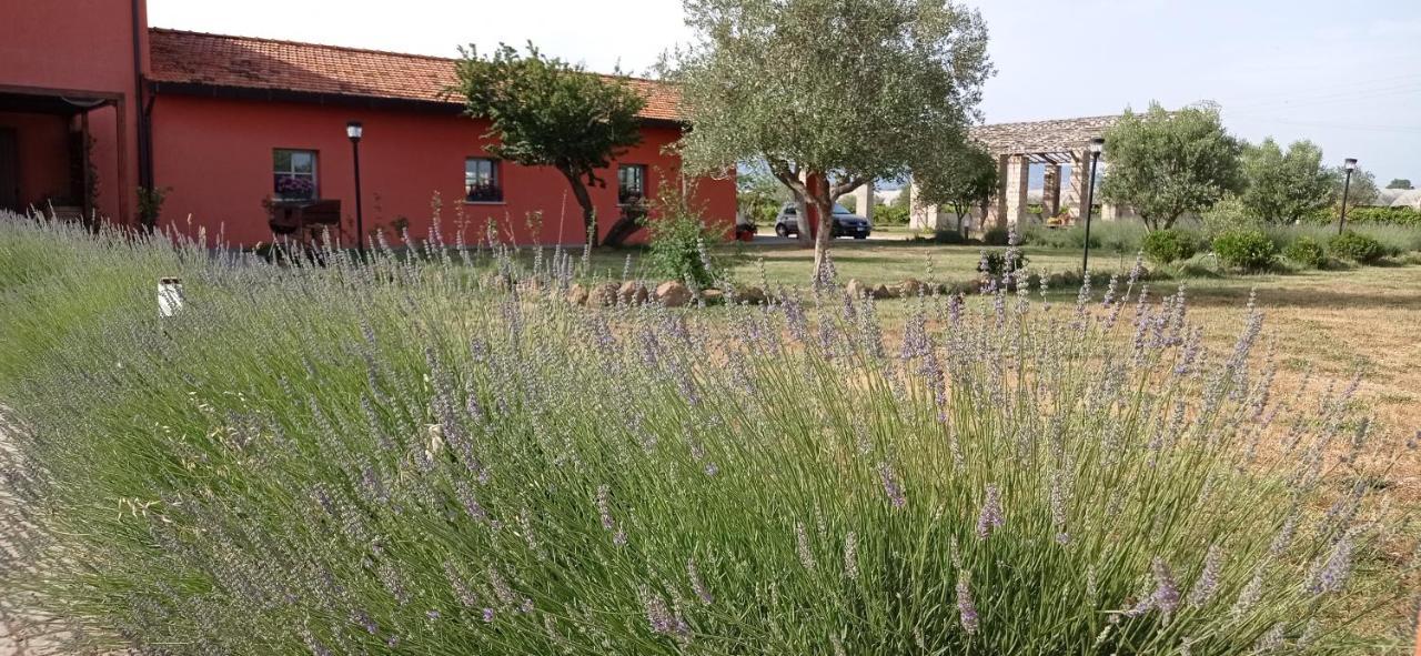 Il Casale Di Giulia Di Aprilia Bed & Breakfast Exterior photo