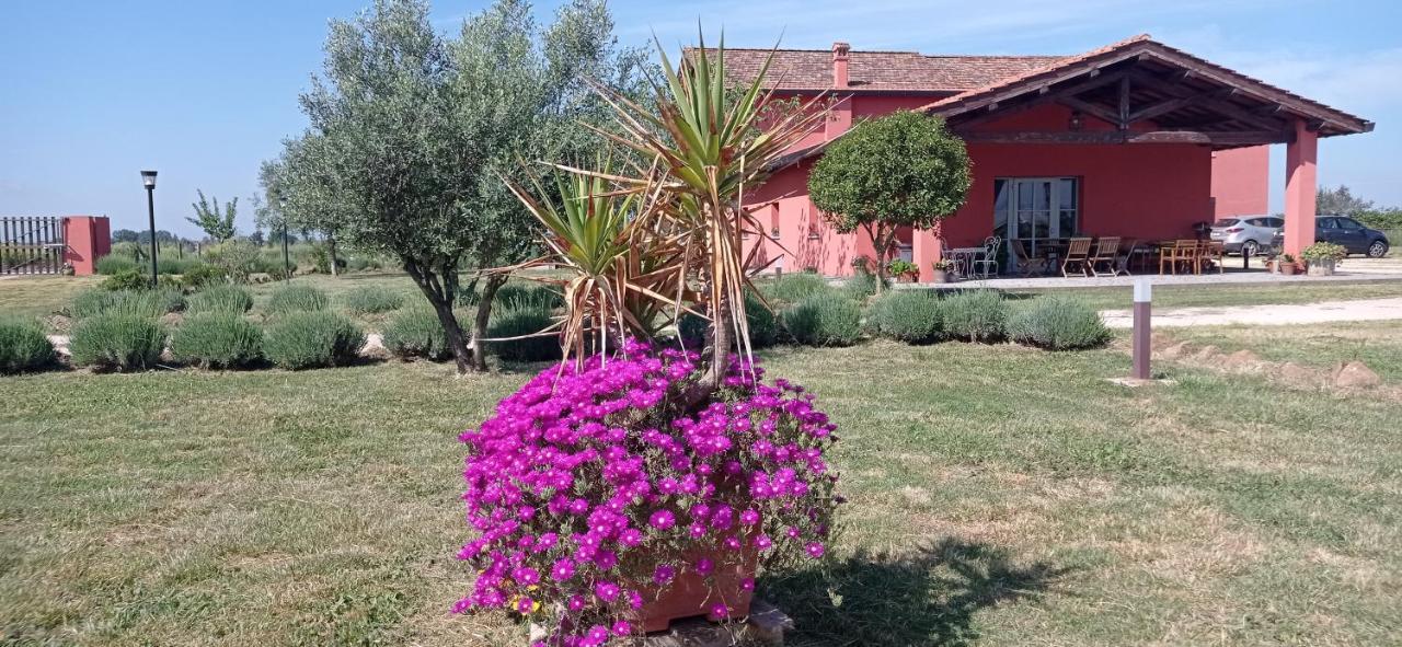 Il Casale Di Giulia Di Aprilia Bed & Breakfast Exterior photo