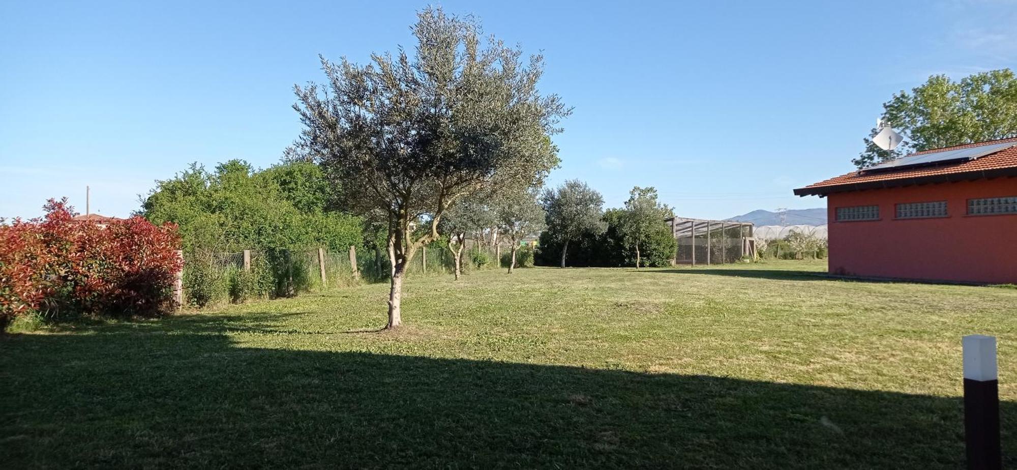Il Casale Di Giulia Di Aprilia Bed & Breakfast Room photo