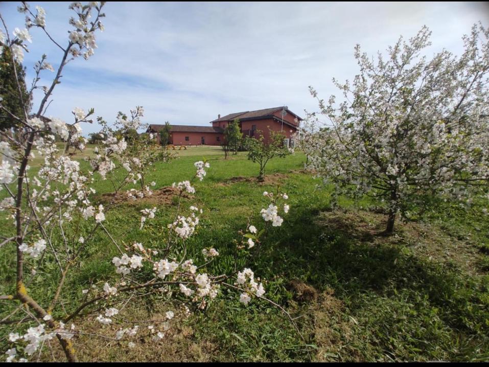 Il Casale Di Giulia Di Aprilia Bed & Breakfast Exterior photo