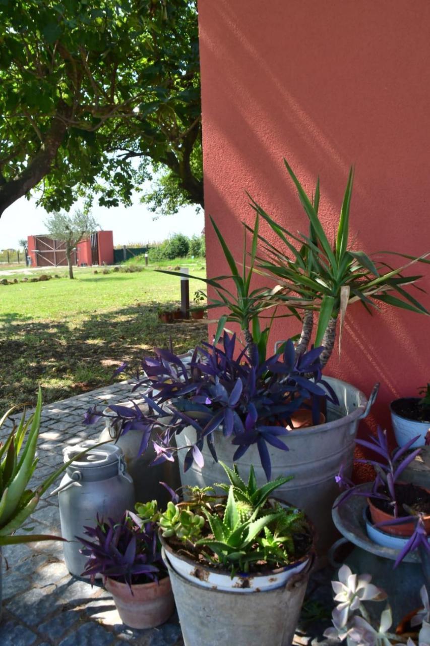 Il Casale Di Giulia Di Aprilia Bed & Breakfast Exterior photo